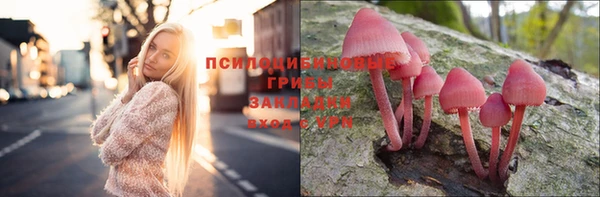 трава Кодинск