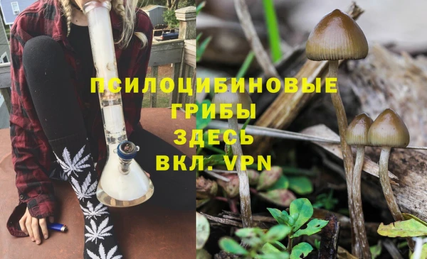 трава Кодинск