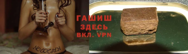 мдпв Козельск
