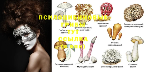 мдпв Козельск