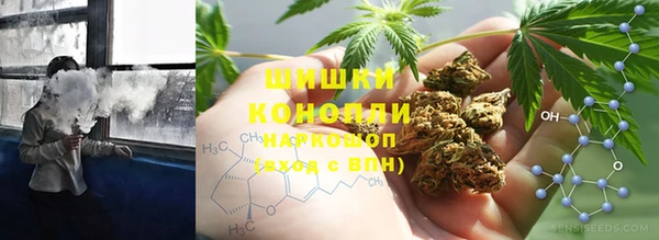 мдпв Козельск