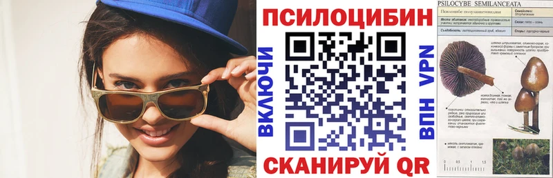Купить  Суворов  Псилоцибиновые грибы Cubensis 